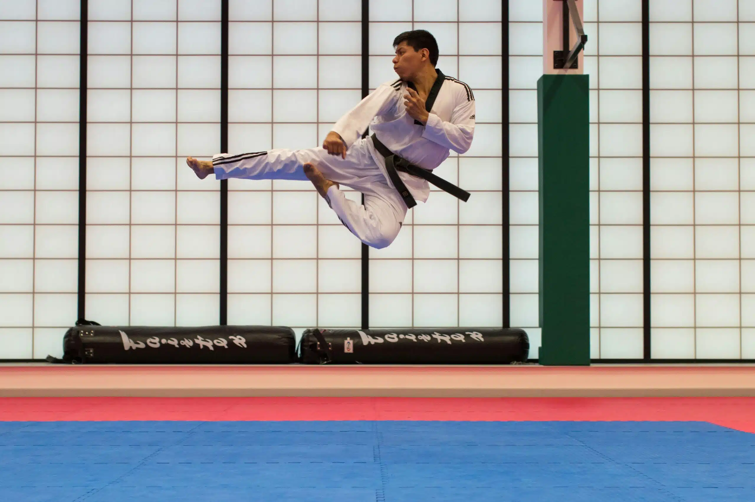 Mastering Martial Arts Success: Key Business Strategies