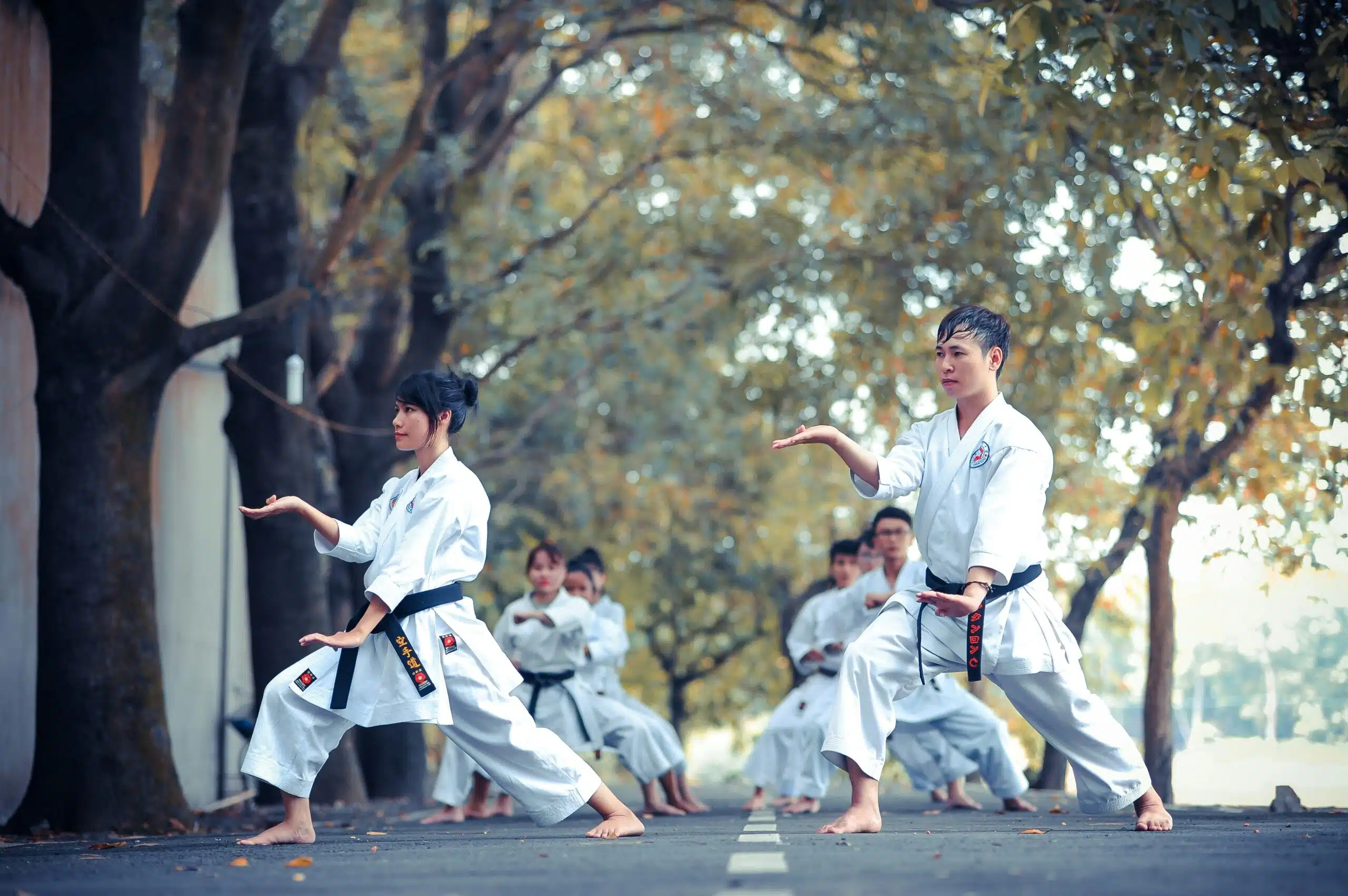 Maximizing Martial Arts Enrollment Through Expert Business Coaching