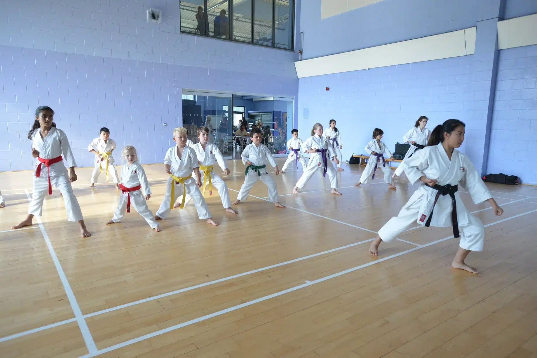 Fast Growth & Freedom for UK Karate School
